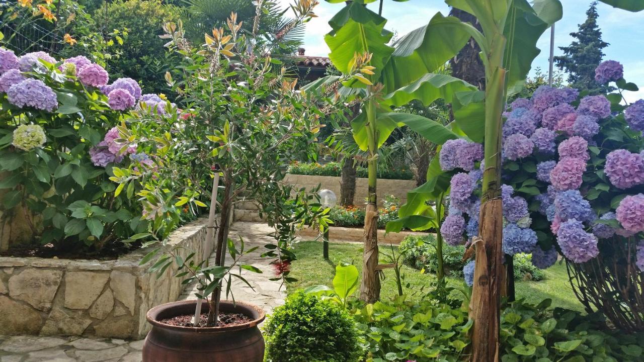 Apartman Ornela Poreč Kültér fotó